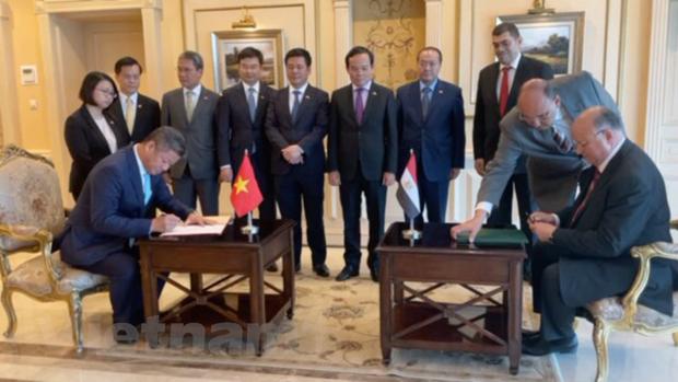 Ha Noi, Cairo sign Friendship, Cooperation Agreement - Ảnh 1.