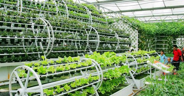 Capital strives for 100% of safe agro-food chain coverage