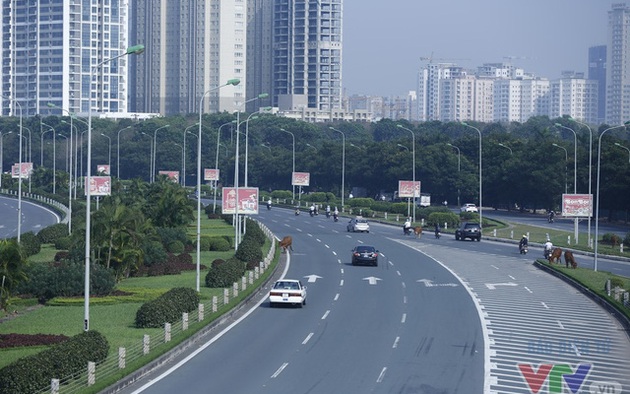 Beautiful photos of the homeland- Ảnh 6.