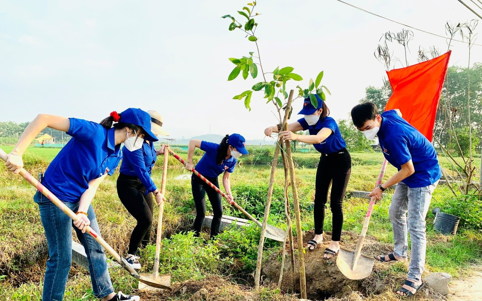 Hanoi to plant over 700,000 new trees in 2025- Ảnh 1. Ảnh minh họa