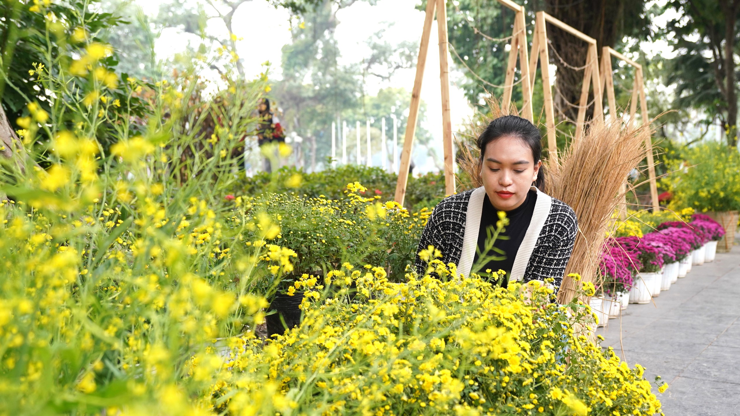 Ngắm hoa cải vàng khoe sắc cùng trợ lý ảo (AI) ngay giữa lòng Hà Nội- Ảnh 5.