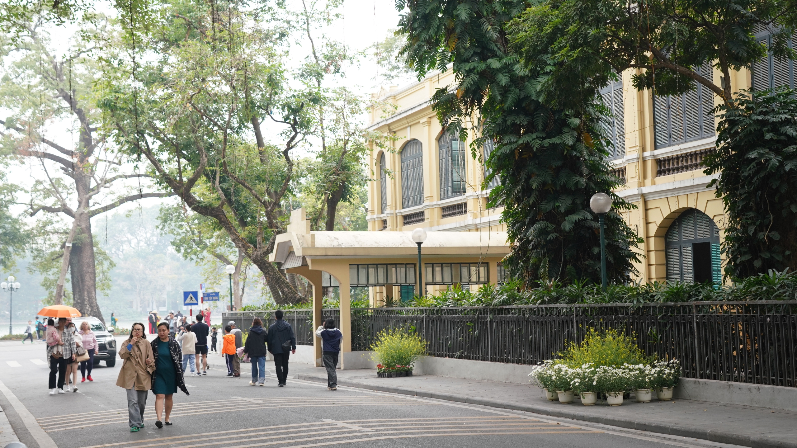 Ngắm hoa cải vàng khoe sắc cùng trợ lý ảo (AI) ngay giữa lòng Hà Nội- Ảnh 31.