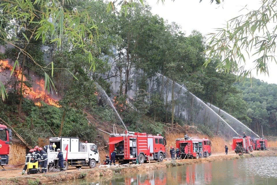 Ngành Kiểm lâm Hà Nội: Nhiều đột phá trong cải cách hành chính- Ảnh 1.