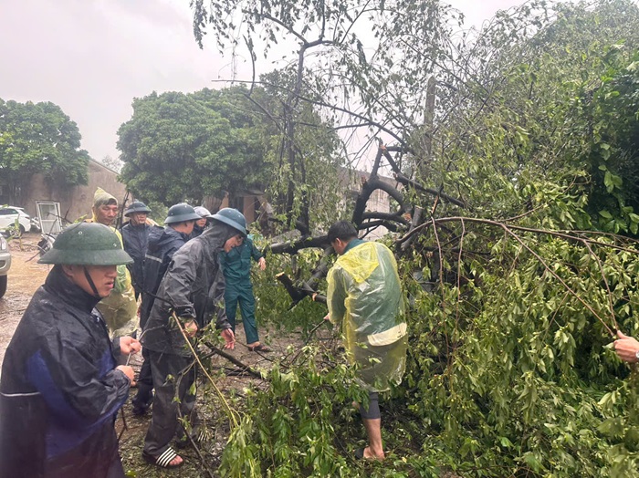 Ưu tiên cấp điện cho các trạm bơm để phục vụ tiêu thoát nước ở huyện Chương Mỹ- Ảnh 5.