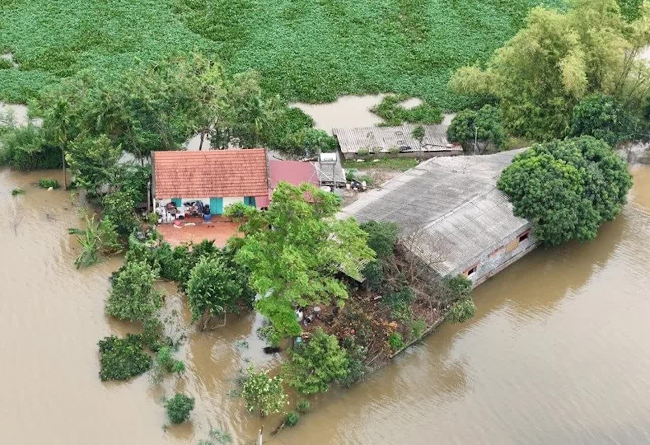 Báo động lũ trên sông Tích, hàng chục xã phường nguy cơ ngập lụt- Ảnh 1.