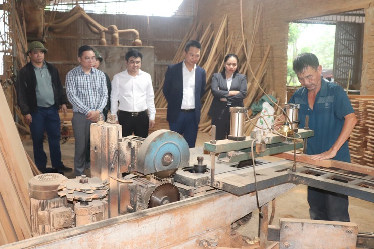 Phu Xuyen to host 2025 festival honoring craft villages and cultural heritage- Ảnh 1.