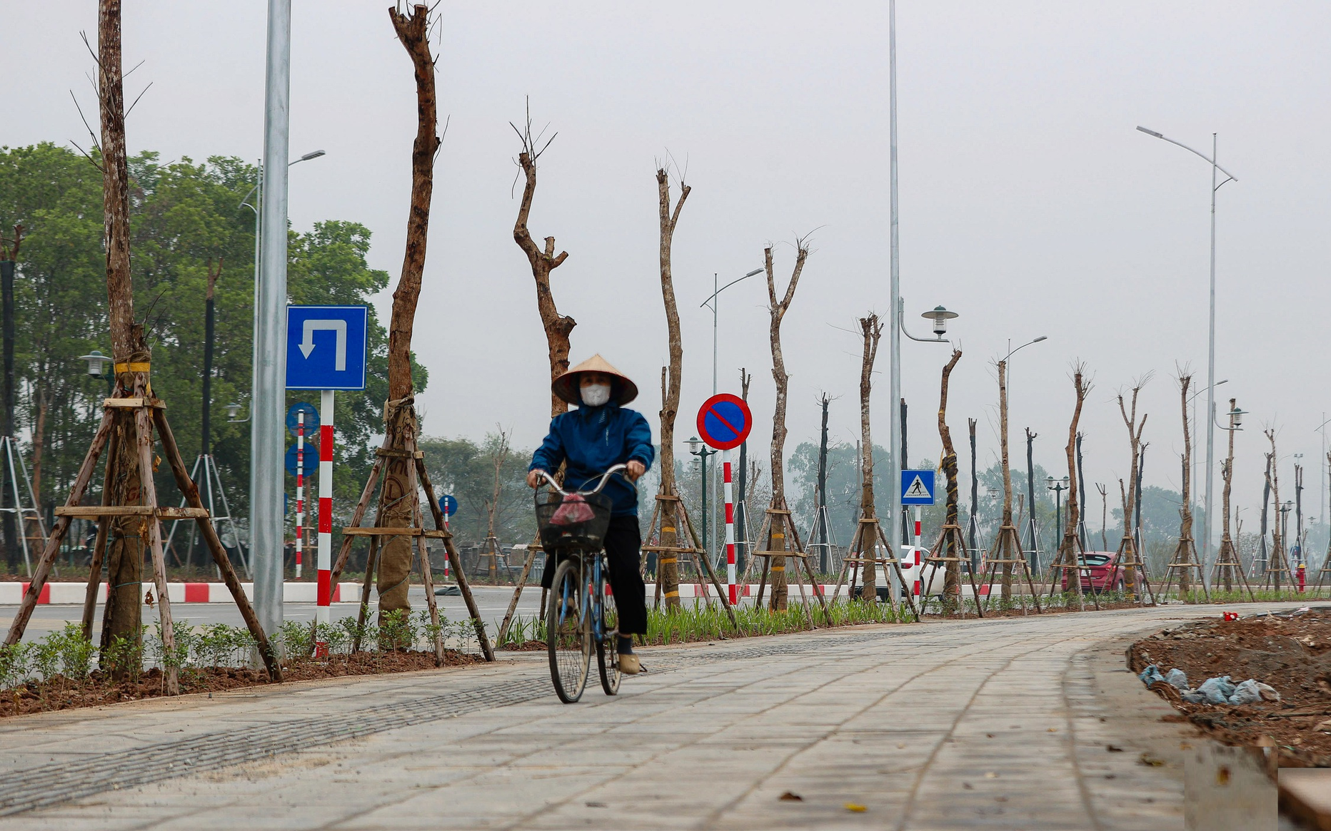 Cây xanh trên tuyến đường Lê Quang Đạo kéo dài (quận Nam Từ Liêm) có dấu hiệu sinh trưởng kém