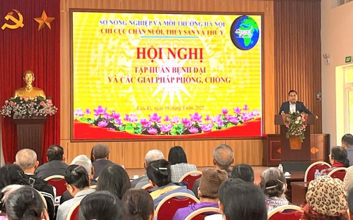Quang cảnh buổi tập huấn 