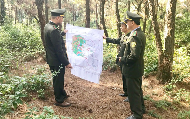 Ảnh minh họa