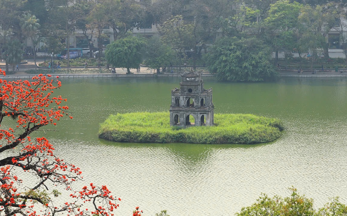 Những ngày qua, dạo bước quanh Hồ Gươm, không ít người sẽ cảm thấy thích thú và bất ngờ khi nhìn thấy cây hoa gạo sừng sững nở hoa rực rỡ
