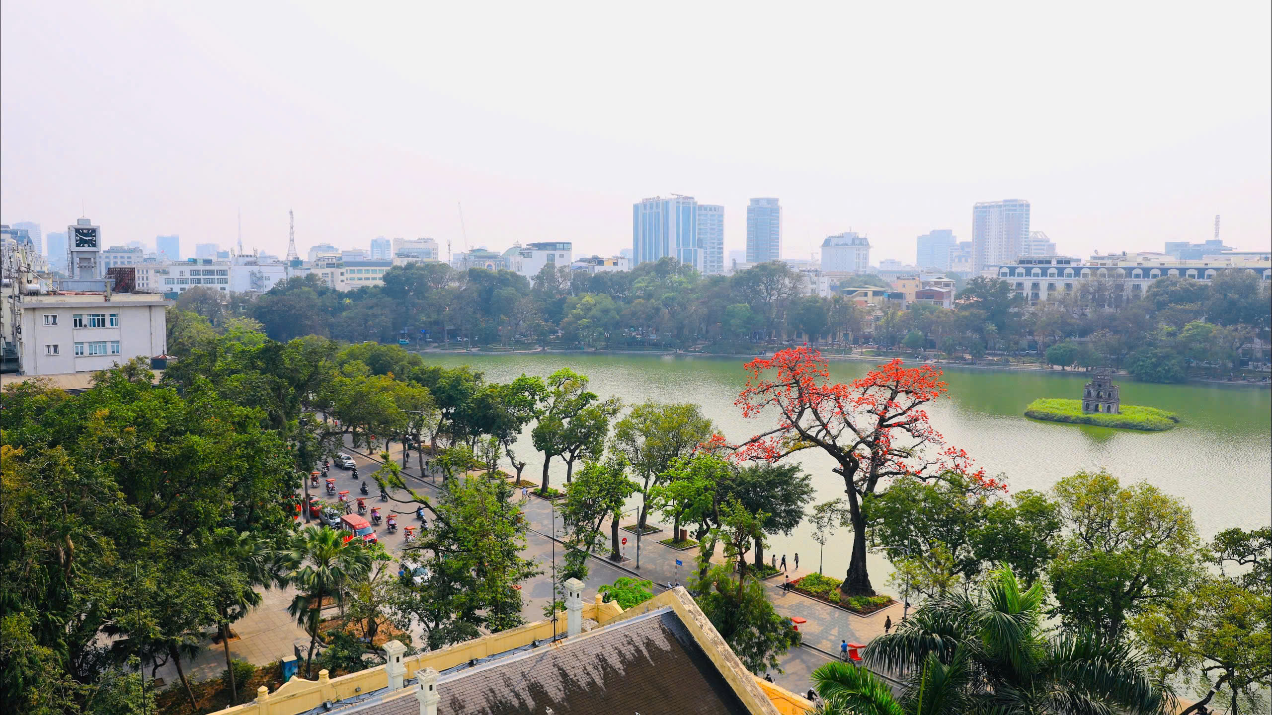 Vẻ đẹp thời gian của cây HOA GẠO trăm tuổi ở Hồ Gươm- Ảnh 6.