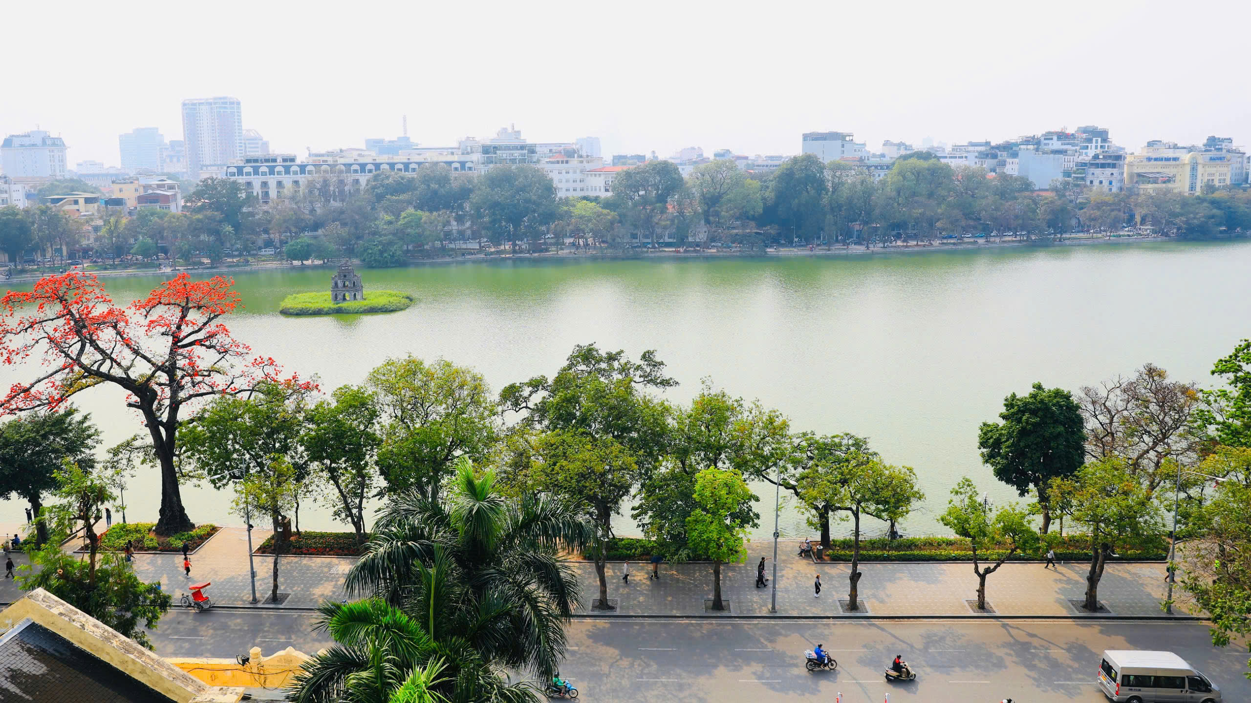 Vẻ đẹp thời gian của cây HOA GẠO trăm tuổi ở Hồ Gươm- Ảnh 5.