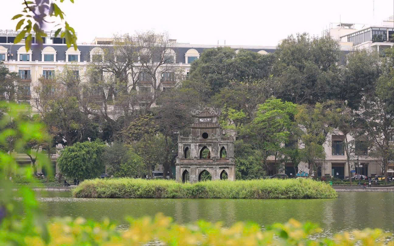 Ảnh minh họa