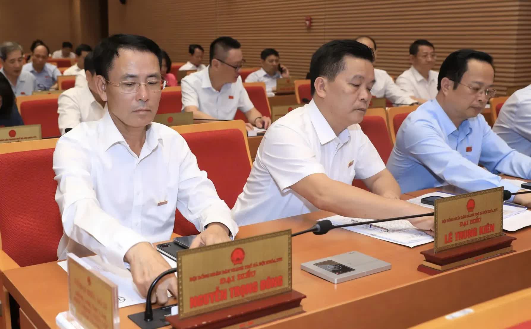 Hanoi approves policies to support agricultural zones affected by natural disasters- Ảnh 1. Hanoi approves policies to support agricultural zones affected by natural disasters- Ảnh 1.