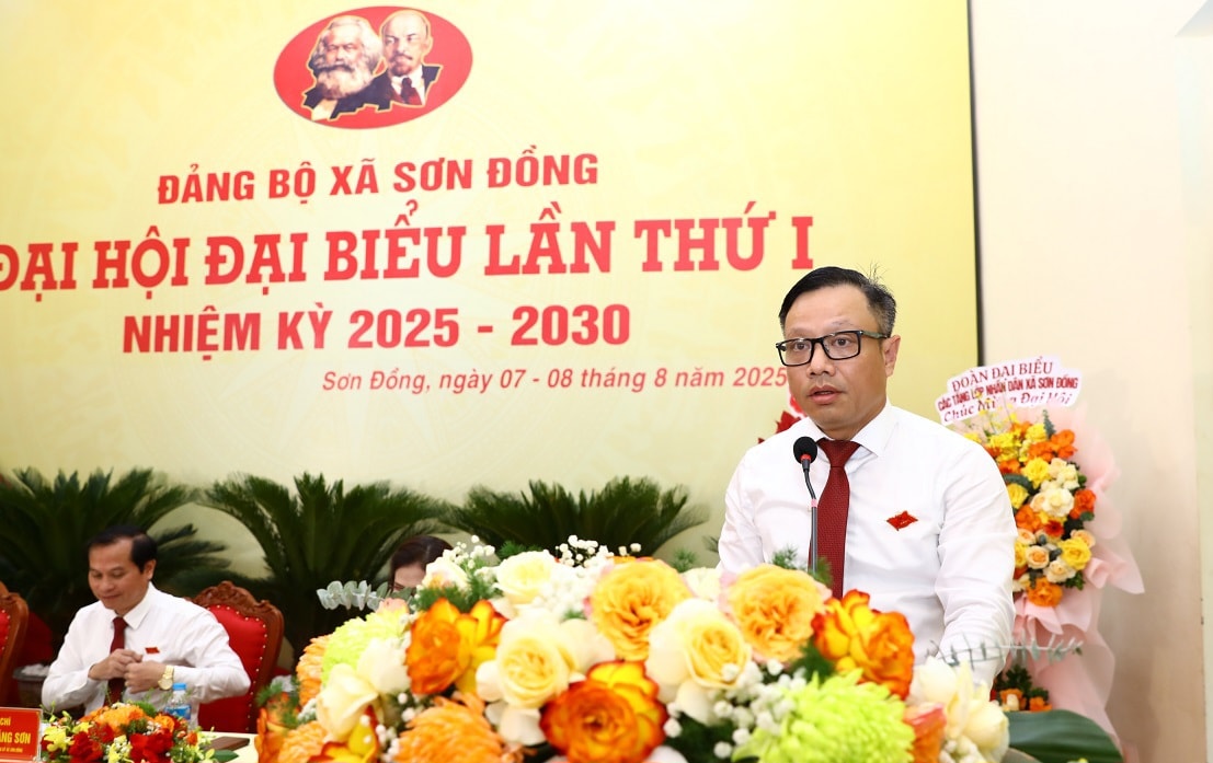 Xây dựng Sơn Đồng thành đô thị văn minh, giàu đẹp, nhân dân hạnh phúc- Ảnh 2.