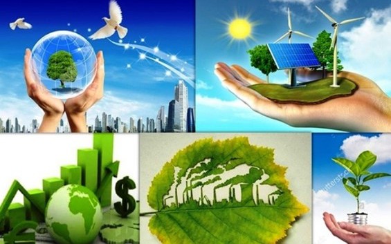 Đẩy mạnh chuyển đổi xanh để ứng phó với biến đổi khí hậu