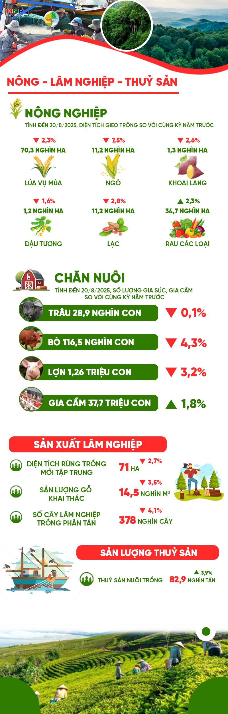 Những con số 'biết nói': Sản xuất nông, lâm nghiệp và thủy sản 8 tháng năm 2025- Ảnh 1.