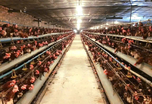 Hà Nội: Sản xuất tăng trưởng tích cực- Ảnh 2.
