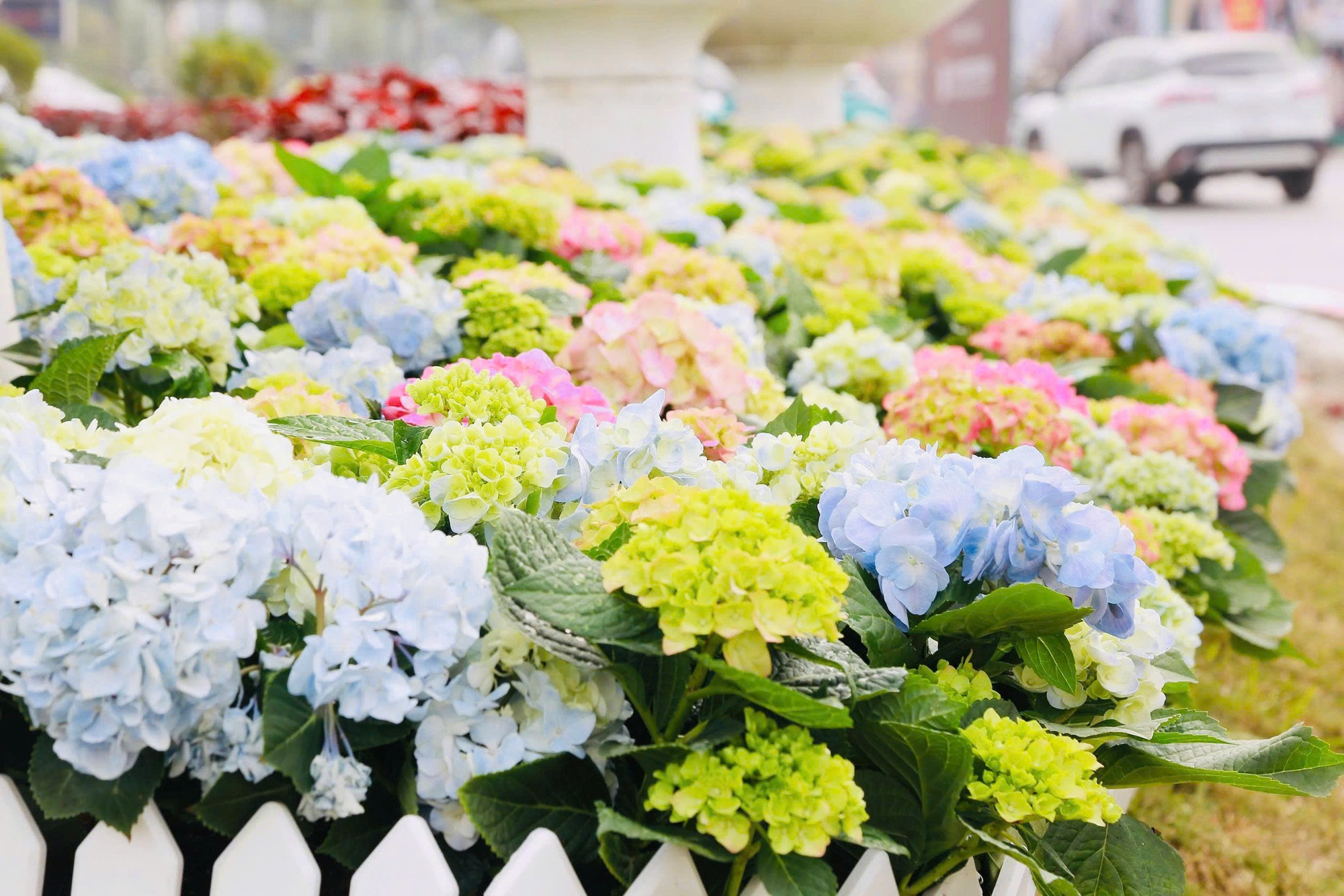 Rực rỡ cờ hoa chào mừng Đại hội Đảng toàn quốc lần thứ XIV- Ảnh 6.