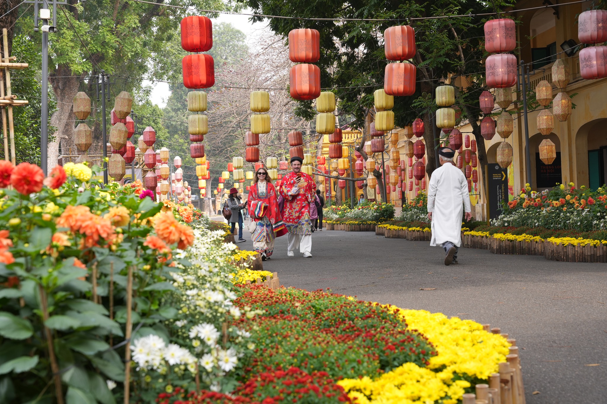 Rực rỡ đường hoa xuân tại Hoàng thành Thăng Long thu hút hơn 18.000 lượt khách dịp Tết Nguyên đán- Ảnh 6.