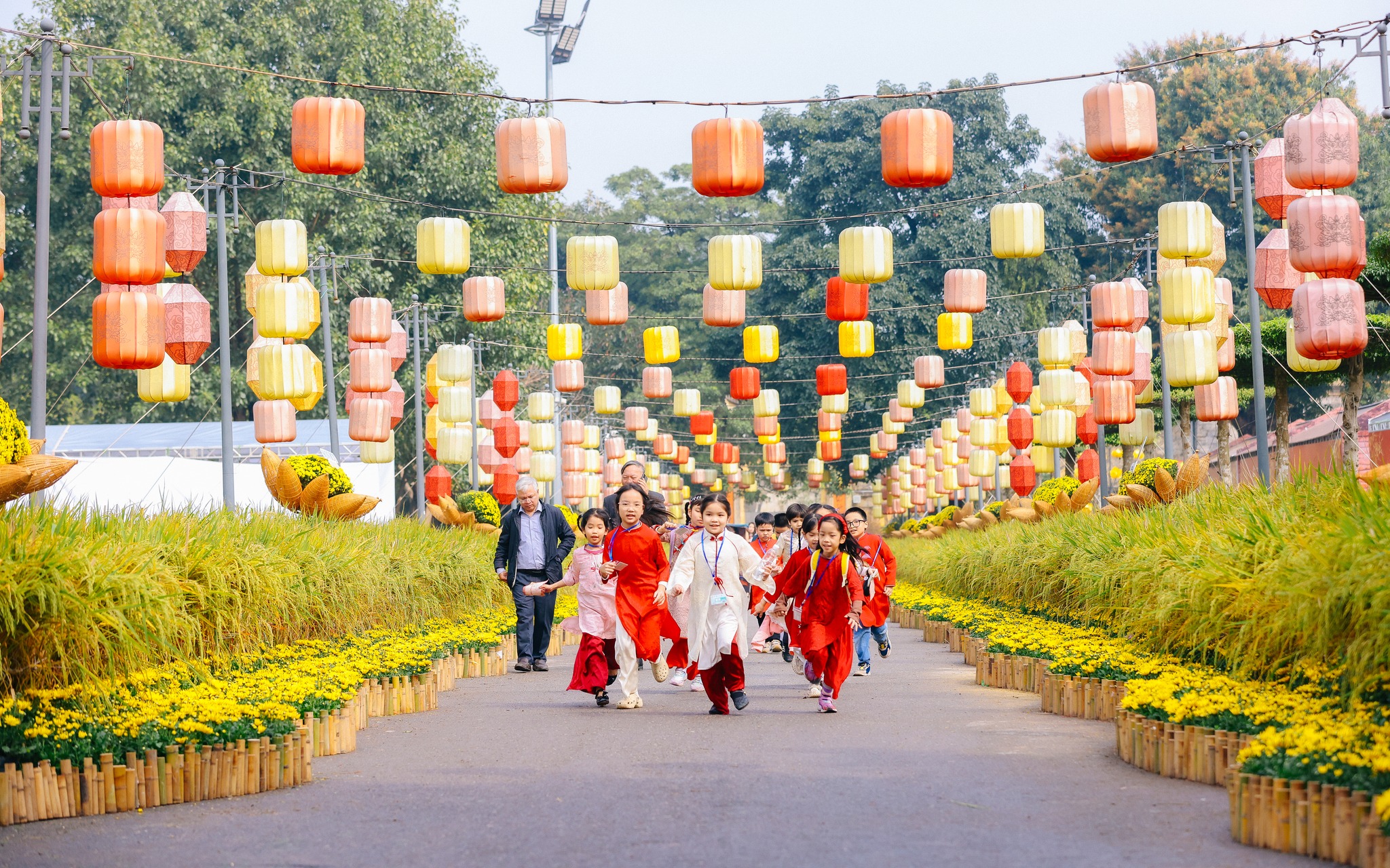 Rực rỡ đường hoa xuân tại Hoàng thành Thăng Long thu hút hơn 18.000 lượt khách dịp Tết Nguyên đán- Ảnh 3.