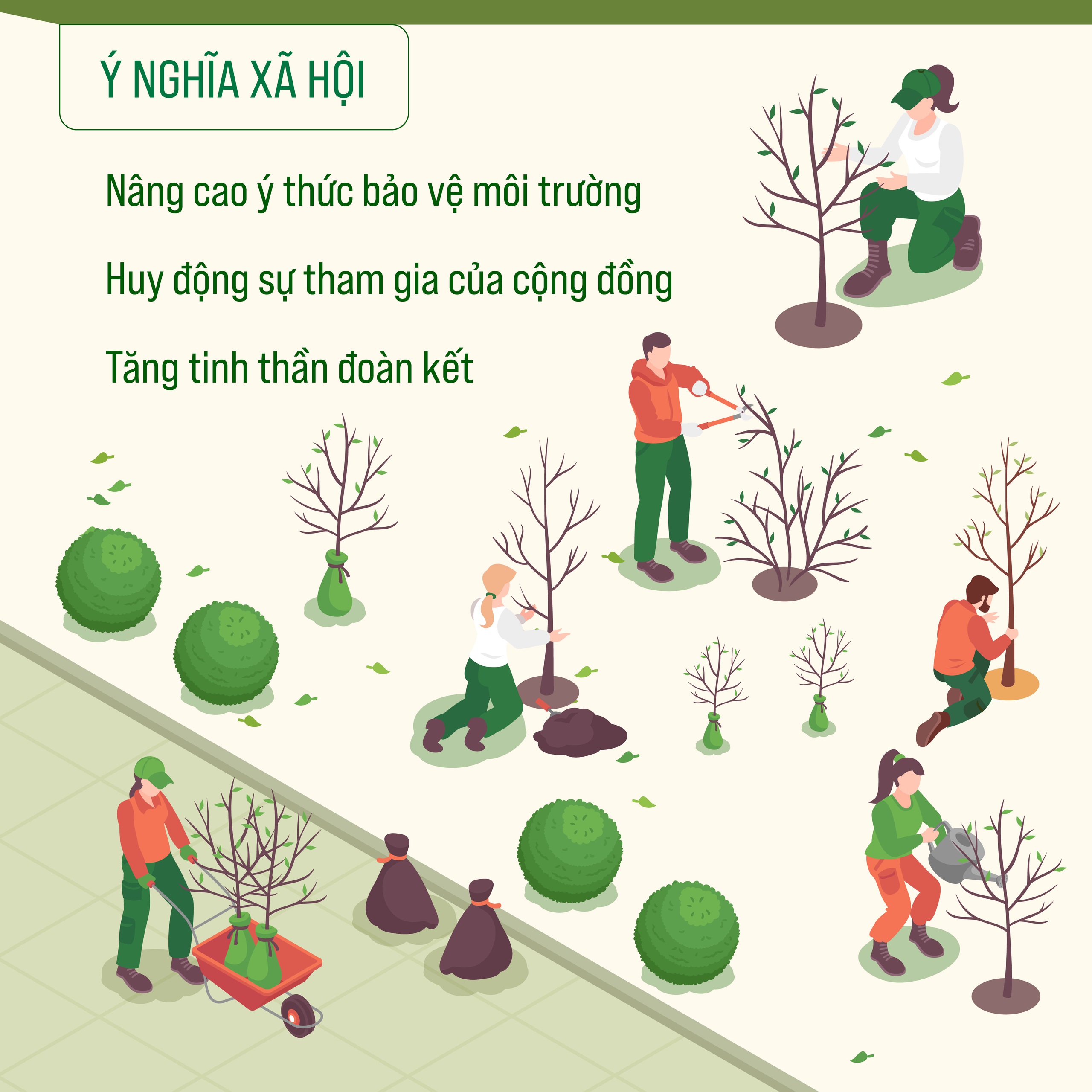 Ý nghĩa của Tết trồng cây- Ảnh 3.