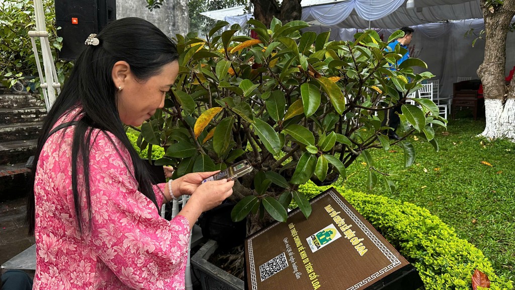 “Lễ hội số” Cổ Loa - điểm mới hiện thực hóa Nghị quyết 57-NQ/TW- Ảnh 1.