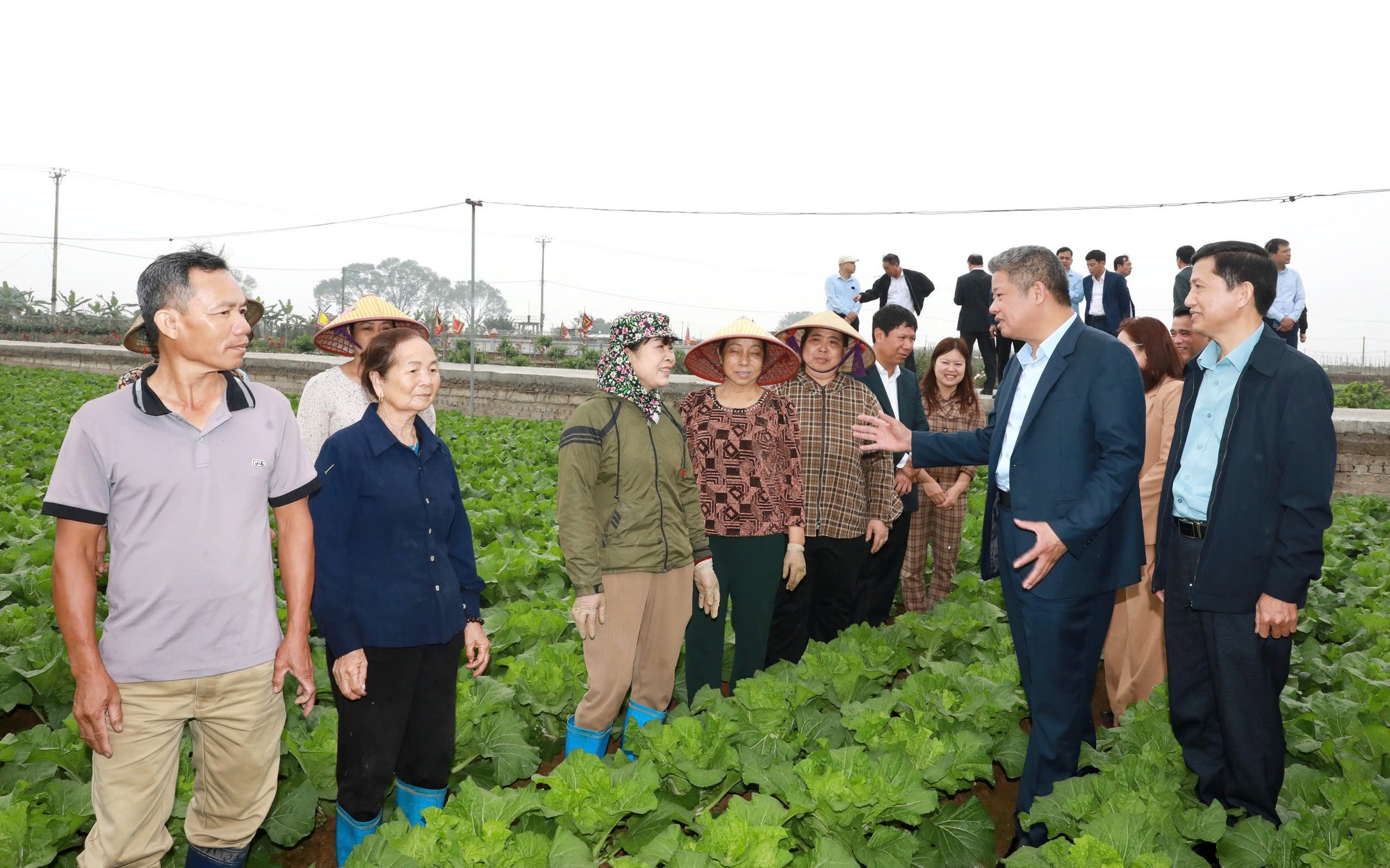 Tập trung phát triển nông nghiệp giá trị cao