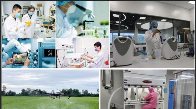 Hà Nội: Thành lập Tổ công tác về sắp xếp các đơn vị sự nghiệp công lập, doanh nghiệp nhà nước trên địa bàn Thành phố- Ảnh 1.