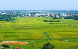 Phân cấp thực hiện một số nhiệm vụ trong lĩnh vực đất đai