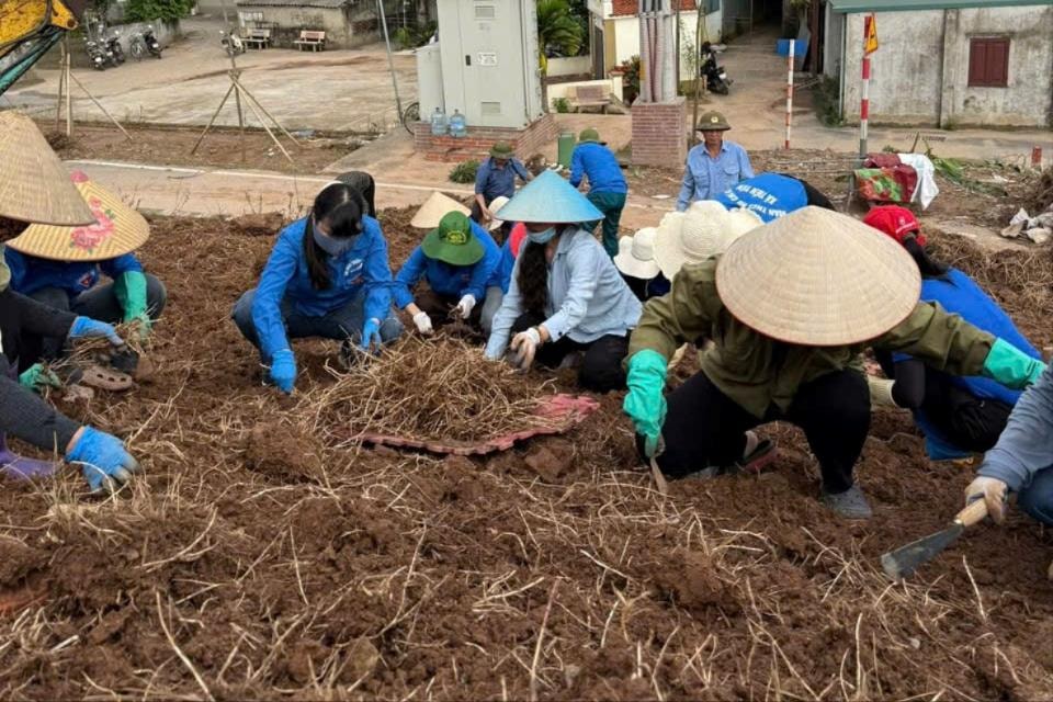 Phụ nữ Thủ đô ra quân Ngày cuối tuần xanh, chào mừng Đại hội MTTQ Việt Nam XI- Ảnh 3.