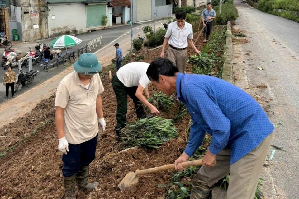 Phụ nữ Thủ đô ra quân Ngày cuối tuần xanh, chào mừng Đại hội MTTQ Việt Nam XI- Ảnh 4.