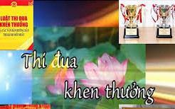 Tặng danh hiệu “Chiến sĩ thi đua Thành phố” cho 15 cá nhân