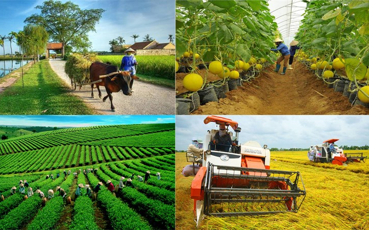 Tiếp tục thực hiện kế hoạch đổi mới công tác đào tạo nghề cho lao động nông thôn