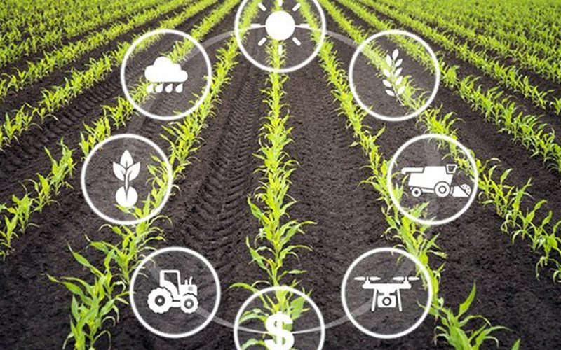 Ứng dụng IoT trong lĩnh vực nông nghiệp thông minh