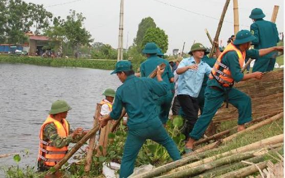 Ảnh minh họa