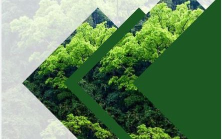 Phê duyệt quy trình nội bộ, quy trình điện tử giải quyết thủ tục hành chính lĩnh vực Lâm nghiệp và Kiểm lâm