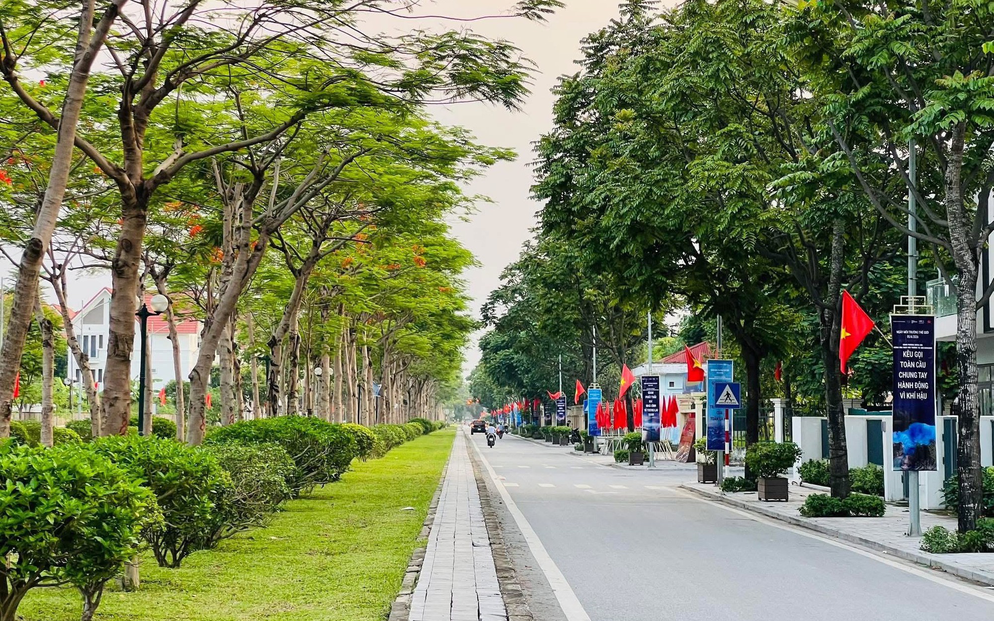 Hình minh họa