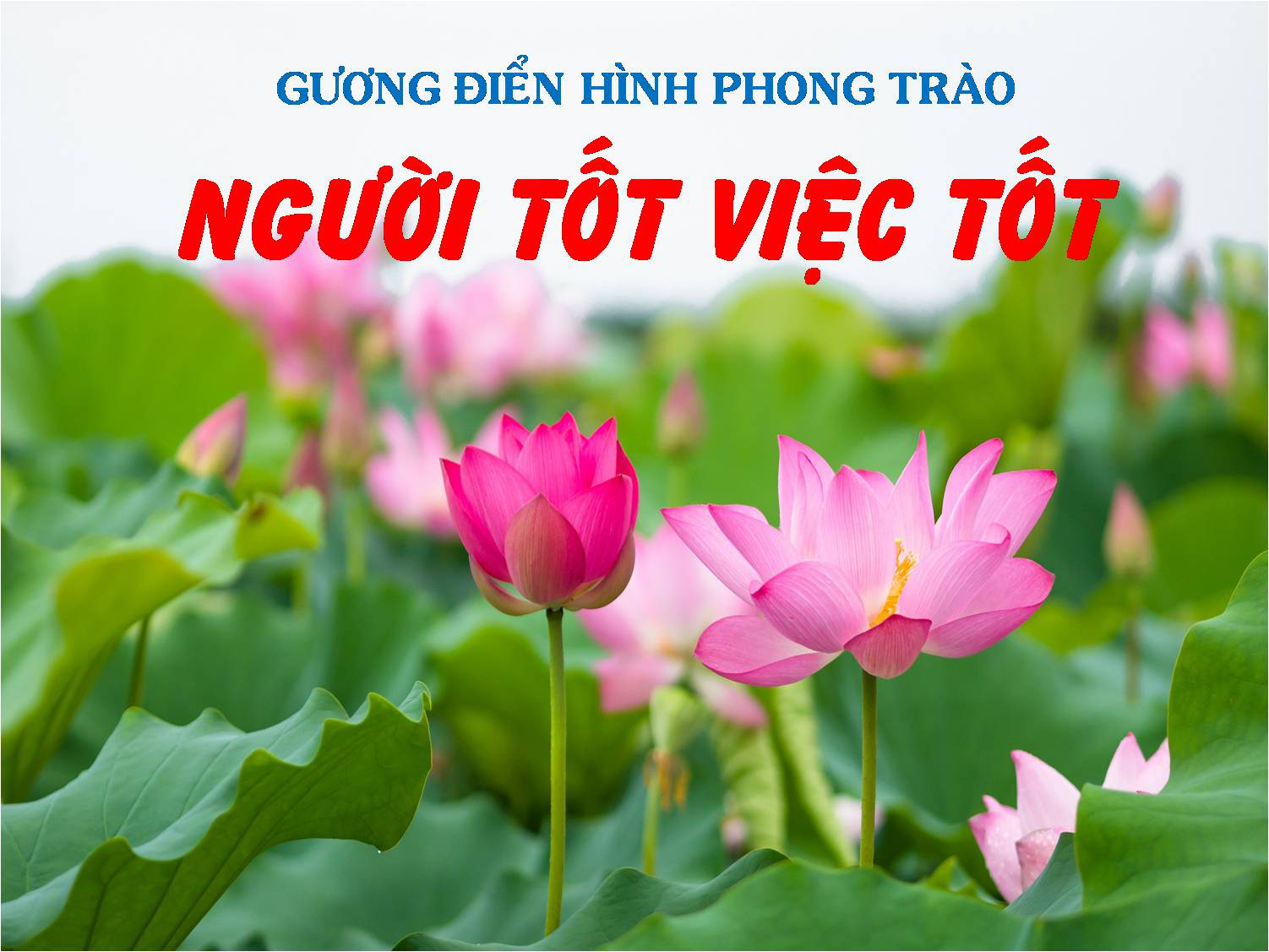 Ban hành Quy chế xét tặng danh hiệu “Người tốt, việc tốt”- Ảnh 1.