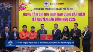 Bảo đảm cung cấp điện an toàn, ổn định, liên tục phục vụ Nhân dân Thủ đô trong dịp Tết