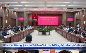 Khai mạc Hội nghị lần thứ 20 Ban Chấp hành Đảng bộ thành phố Hà Nội