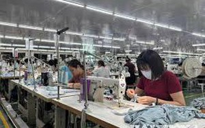 Công bố Danh mục thủ tục hành chính được sửa đổi, bổ sung trong lĩnh vực hỗ trợ doanh nghiệp nhỏ và vừa