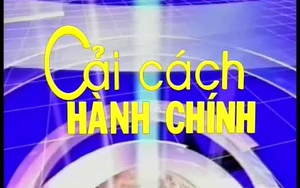 Thành lập Ban Giám khảo, Tổ Thư ký vòng Sơ loại cuộc thi 