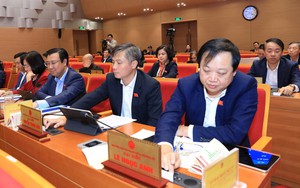 Hà Nội quy định mức chi mới cho bảo vệ rừng