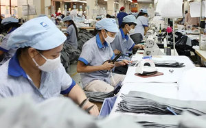 Phê duyệt Đề án Hỗ trợ doanh nghiệp nhỏ và vừa giai đoạn 2026 - 2030