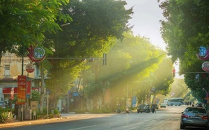 Tăng cường các biện pháp cấp bách về kiểm soát ô nhiễm môi trường không khí