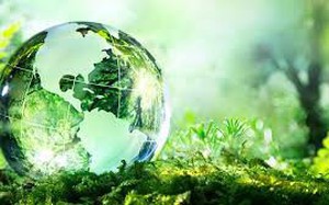 Phê duyệt phương án tái cấu trúc thủ tục hành chính lĩnh vực Môi trường