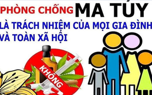 Triển khai thực hiện Dự án nâng cao hiệu quả cai nghiện ma túy và quản lý sau cai