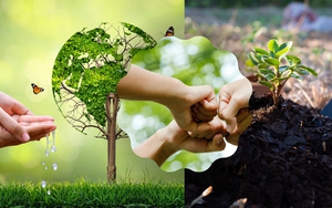 Triển khai thực hiện các giải pháp khắc phục điểm nghẽn về ô nhiễm môi trường