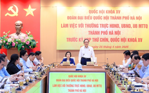 Đoàn ĐBQH Hà Nội chuẩn bị nội dung cho kỳ họp thứ 9, Quốc hội khóa XV